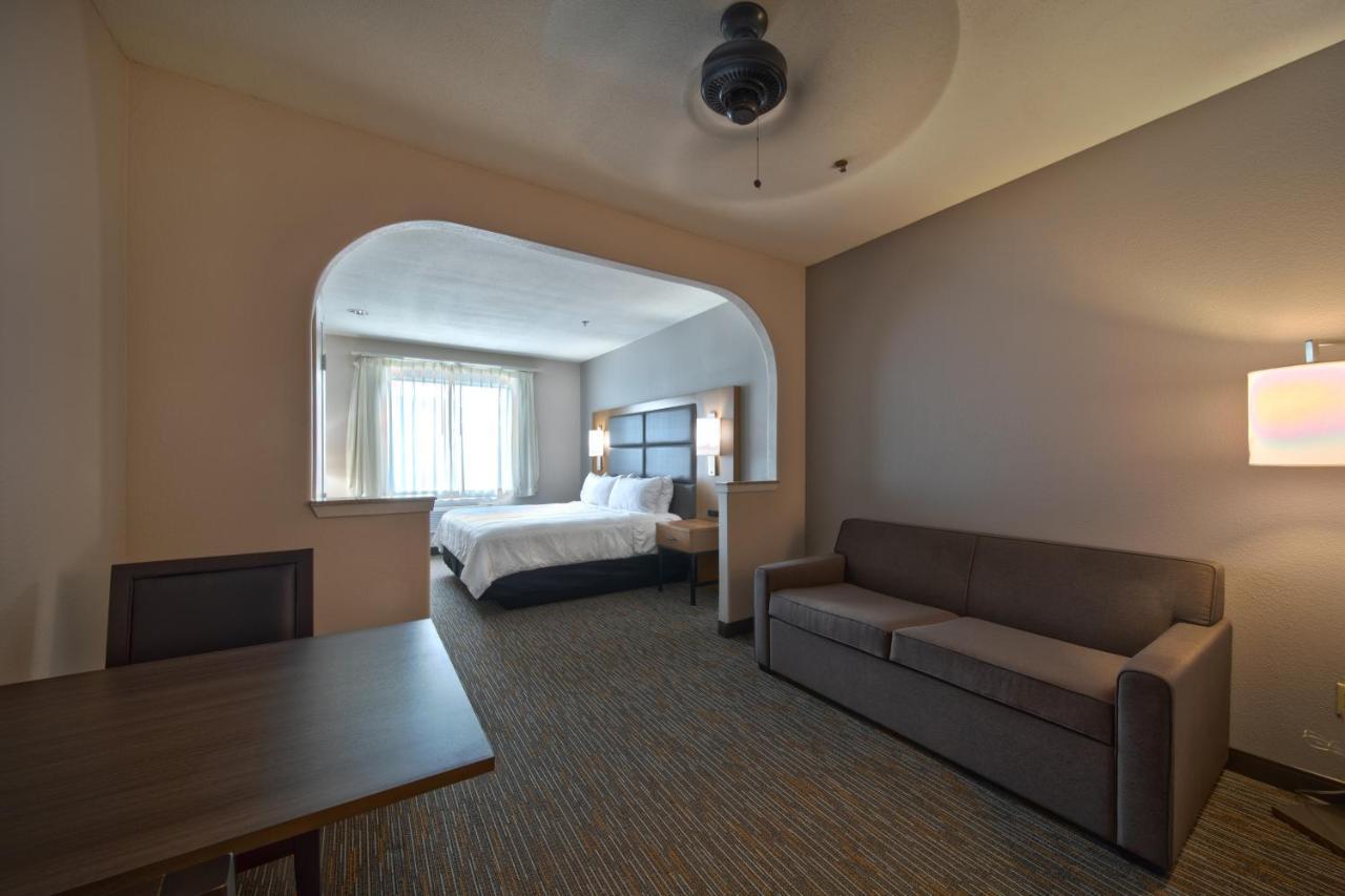 Wingate By Wyndham Houston Bush Intercontinental Airport Hotel Aldine Екстериор снимка